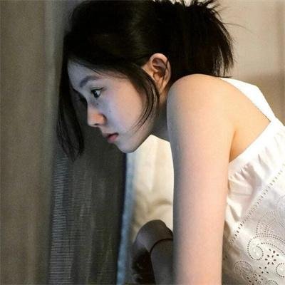 木兰花 封面
