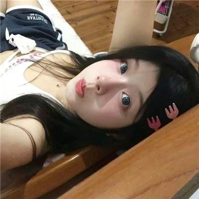 野探哈莉第四季 封面